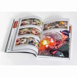 7 VS. WILD - DER OFFIZIELLE SURVIVAL-GUIDE - Survival Guide^ Survival, Orientierung Und Erste-Hilfe