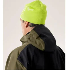 Damen Arc'teryx Accessoires|Accessoires*Arc'teryx BIRD HEAD TOQUE Unisex - Mütze