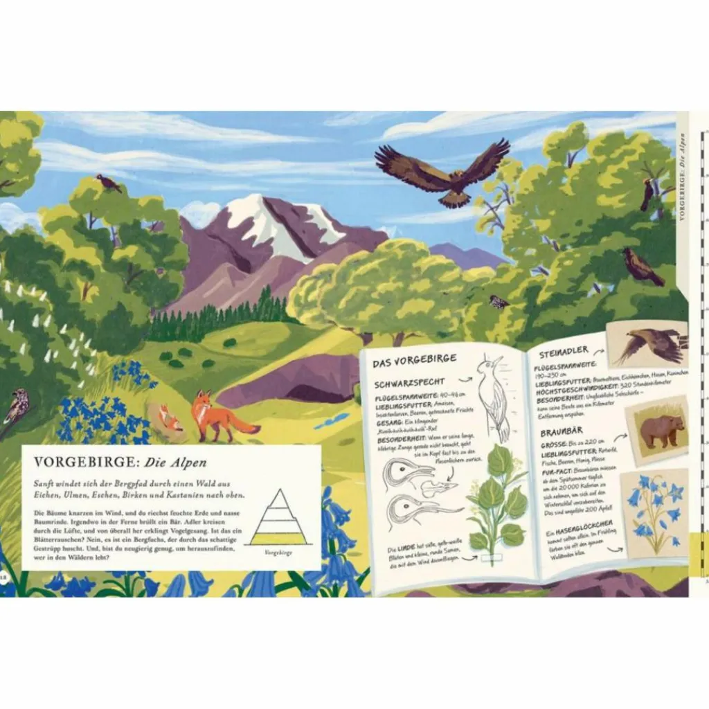 Kinder Naturratgeber Und Sachbücher|Kinderbücher Und Jugendbücher*BESTEIGE DEN BERG IN DIESEM BUCH - Kinderbuch