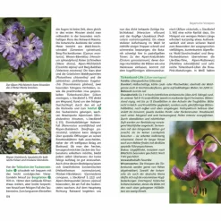 Wanderführer*BLUMENWANDERUNGEN BAYERISCHE ALPEN - Wanderführer