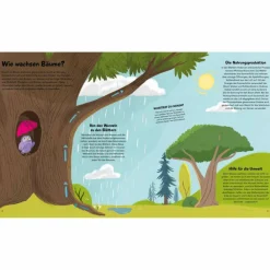 DAS KLEINE BUCH DER BÄUME - Kinderbuch^Kinder Naturratgeber Und Sachbücher|Kinderbücher Und Jugendbücher