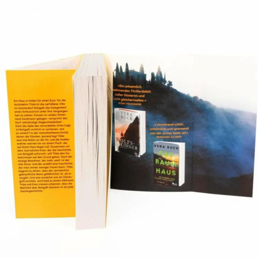 Krimis Und Thriller*DER DUNKLE SOMMER - Thriller