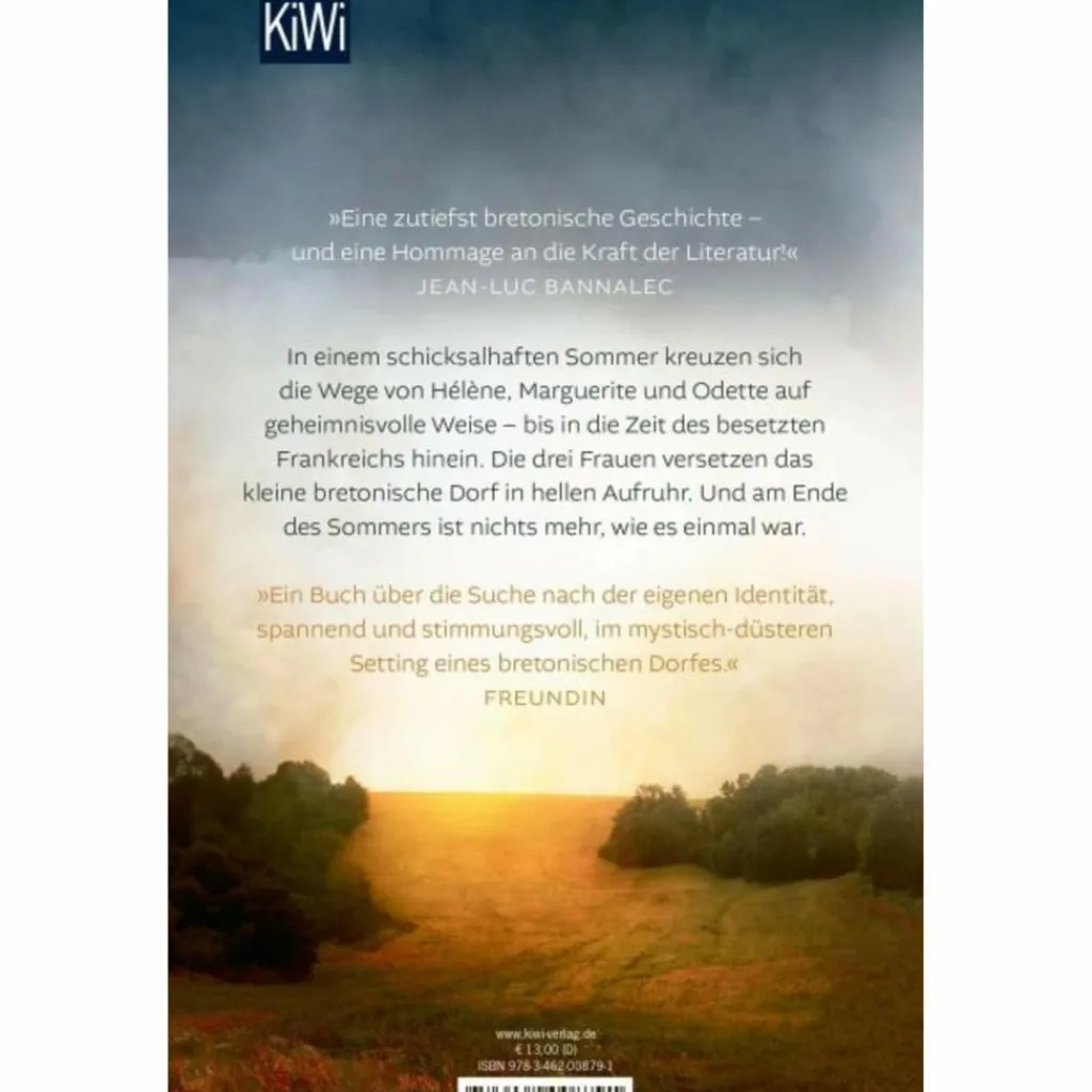 DER SOMMER, IN DEM ALLES BEGANN - Roman^ Romane