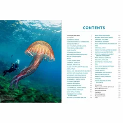 DER ULTIMATIVE WORLD DIVER'S GUIDE - Bildband^ Bildbände|Wassersportführer Und Paddeltechnik