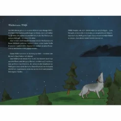 Kinder Kinderromane Und Geschichten|Bilderbücher*DIE SCHÖNSTEN GESCHICHTEN AUS DEM WALD - Kinderbuch