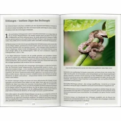 Reiseführer Zentralamerika*DUMONT REISE-HANDBUCH REISEFÜHRER COSTA RICA