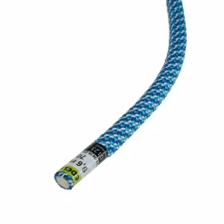 Edelrid SE GLOBETROTTER DRY 9,6MM II Unisex - Kletterseil^ Kletterseile