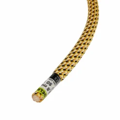 Edelrid SE GLOBETROTTER 9,8MM Unisex - Kletterseil^ Kletterseile