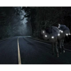 Euroschirm Regenschirme*LIGHT TREK AUTOMATIC - Regenschirm