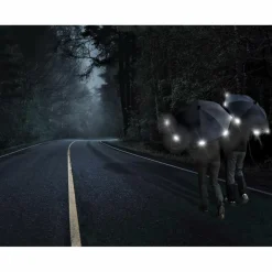 Euroschirm SWING HANDSFREE - Regenschirm^ Regenschirme