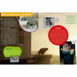 GENIALE NATUR! DIE SUPERTRICKS UNSERER TIERE UND PFLANZEN - Kinderbuch^Kinder Naturratgeber Und Sachbücher|Kinderbücher Und Jugendbücher