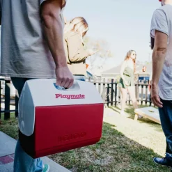 IGLOO PLAYMATE PAL PASSIVE COOLER - Kühlbox^ Kühlboxen Und Kühltaschen