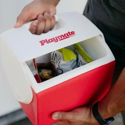 IGLOO PLAYMATE PAL PASSIVE COOLER - Kühlbox^ Kühlboxen Und Kühltaschen