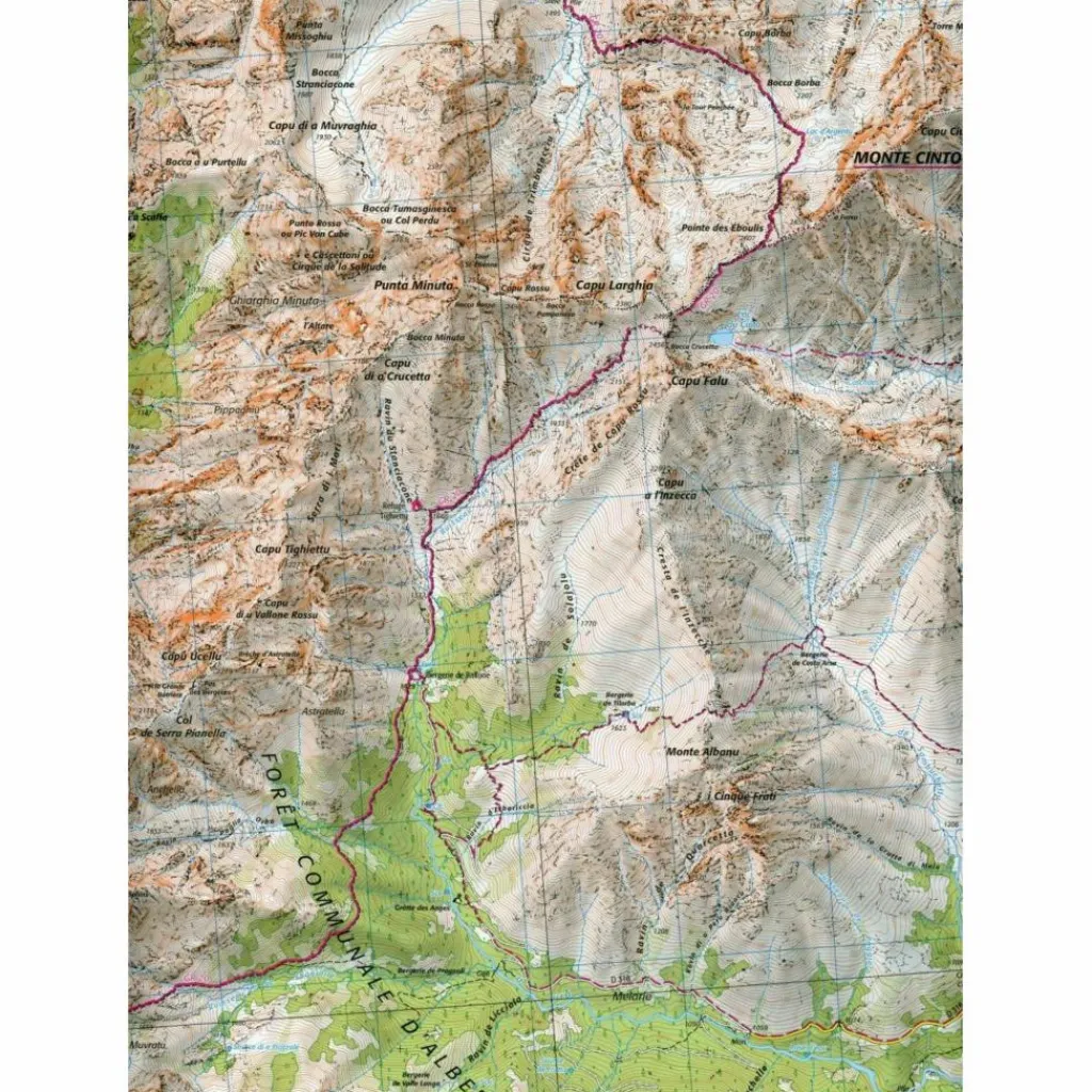Fahrradkarten|Fahrradkarten*IGN 4250 OT CORTE - MONTE CINTO - Wanderkarte