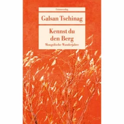 Romane*KENNST DU DEN BERG - Roman