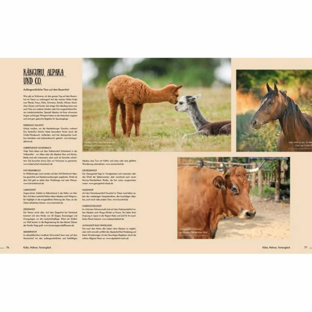 Reiseführer Deutschland*KÜHE, HÜHNER, FERIENGLÜCK - Reiseführer