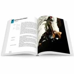 KLETTERFÜHRER STUTTGART ROCKT^ Boulderführer|Sportklettern: Kletterführer, Training Und Techniken