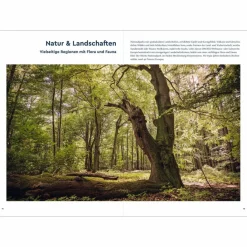 KUNTH BEST OF EUROPA - Bildband^ Bildbände