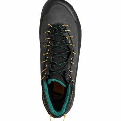 Herren La Sportiva Wanderschuhe Und Trekkingschuhe*TX4 EVO GTX Herren - Zustiegsschuhe