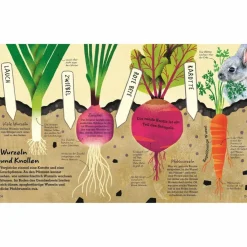 LEBEN UNTER DER ERDE - Kinderbuch^Kinder Bilderbücher|Kinderbücher Und Jugendbücher