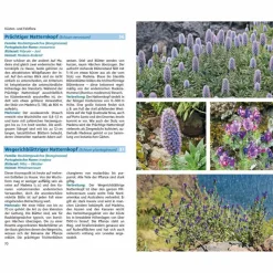 MADEIRAS FLORA - Ratgeber^ Tiere, Pflanzen Und Garten