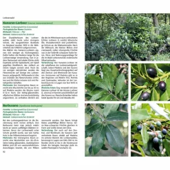 MADEIRAS FLORA - Ratgeber^ Tiere, Pflanzen Und Garten