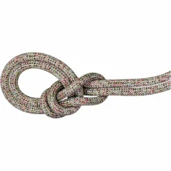Mammut 9.5 CRAG WE CARE CLASSIC ROPE 40M - Kletterseil^ Kletterseile