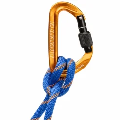 Mammut Karabiner*SENDER SCREWGATE CARABINER - Karabiner