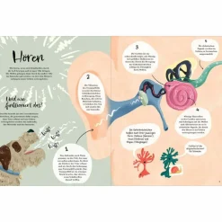 Kinder Naturratgeber Und Sachbücher|Kinderbücher Und Jugendbücher*MIT ALLEN SIEBEN SINNEN - Kinderbuch