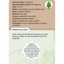 Moses Verlag EXPEDITION NATUR 50 HEIMISCHE BÄUME - Reisespiel^Kinder Kinderreisespiele Und Spielzeug