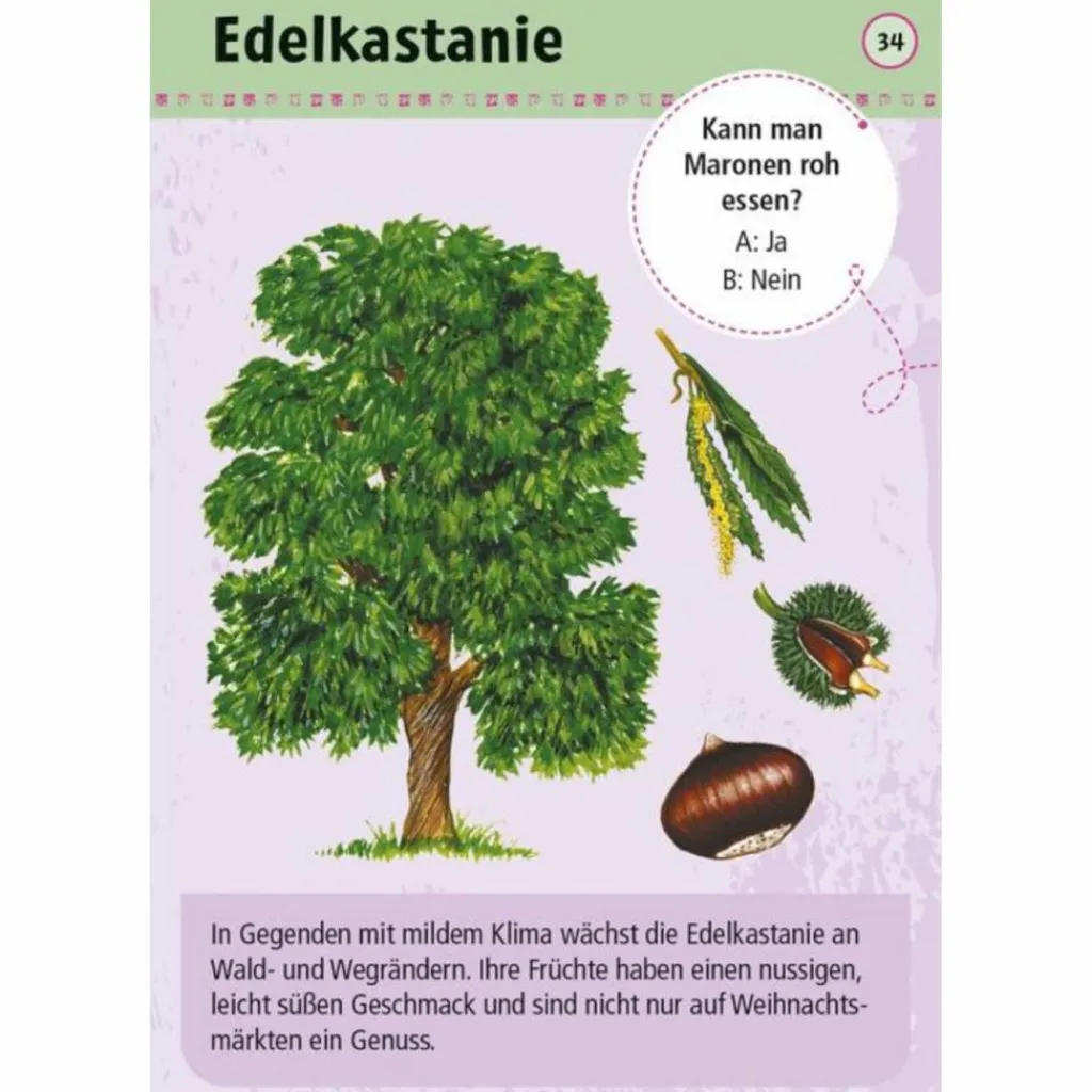 Kinder Moses Verlag Kinderreisespiele Und Spielzeug*EXPEDITION NATUR 50 ESSBARE WILDPFLANZEN - Reisespiel