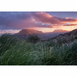 NATURERLEBNIS MALLORCA - Bildband^ Bildbände