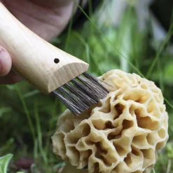 Opinel NO 08 PILZMESSER MIT BÜRSTE Unisex - Klappmesser^ Klappmesser