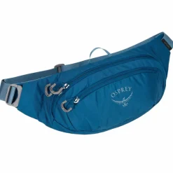 Osprey Bauchtaschen*DAYLITE WAIST - Hüfttasche