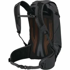 Osprey SPORTLITE 22 - Tagesrucksack^ Tagesrucksäcke