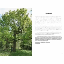 RAUS IN DEN WALD - Ratgeber^ Outdoor Wissen: Tipps Und Techniken