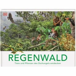 Kinder Naturratgeber Und Sachbücher|Kinderbücher Und Jugendbücher*REGENWALD - Kinderbuch