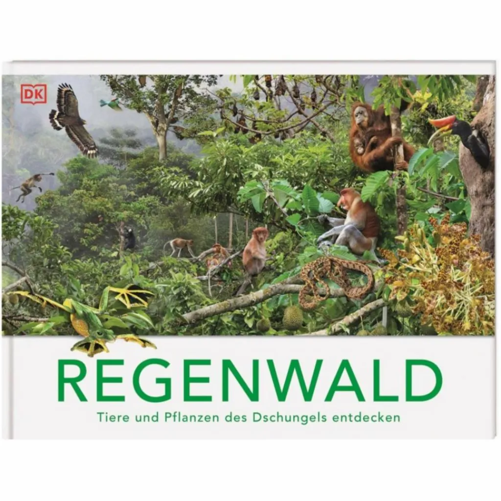 Kinder Naturratgeber Und Sachbücher|Kinderbücher Und Jugendbücher*REGENWALD - Kinderbuch