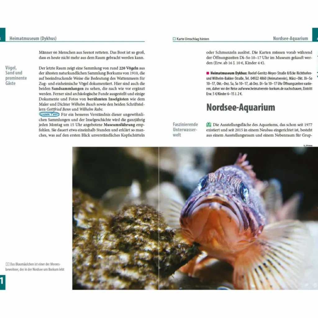 REISE KNOW-HOW REISEFÜHRER BORKUM^ Reiseführer Deutschland