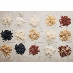 REISKÜCHE - Kochbuch^ Kochbücher