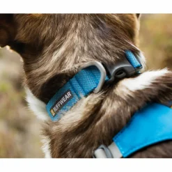 Ruffwear Hundezubehör*HI & LIGHT COLLAR - Hundezubehör
