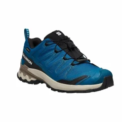 Salomon XA PRO 3D V9 GTX Herren - Wanderschuhe^Herren Wanderschuhe Und Trekkingschuhe