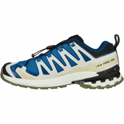 Salomon XA PRO 3D V9 GTX Herren - Wanderschuhe^Herren Wanderschuhe Und Trekkingschuhe