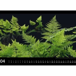 SÄCHSISCHE SCHWEIZ 2026 - Kalender^ Kalender