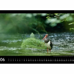 SÄCHSISCHE SCHWEIZ 2026 - Kalender^ Kalender