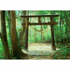 SECRET PLACES JAPAN - Bildband^ Bildbände