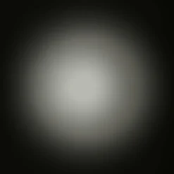 Silva Stirnlampen*SEEK 320 - Stirnlampe