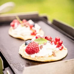 Skotti Grillen Und Picknick*KAST - Grillplatte