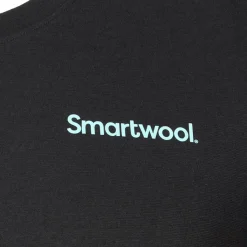 Smartwool GONDOLA VIEW LONG SLEEVE GRAPHIC TEE Herren - Langarmshirt^Herren Shirts Und Tops