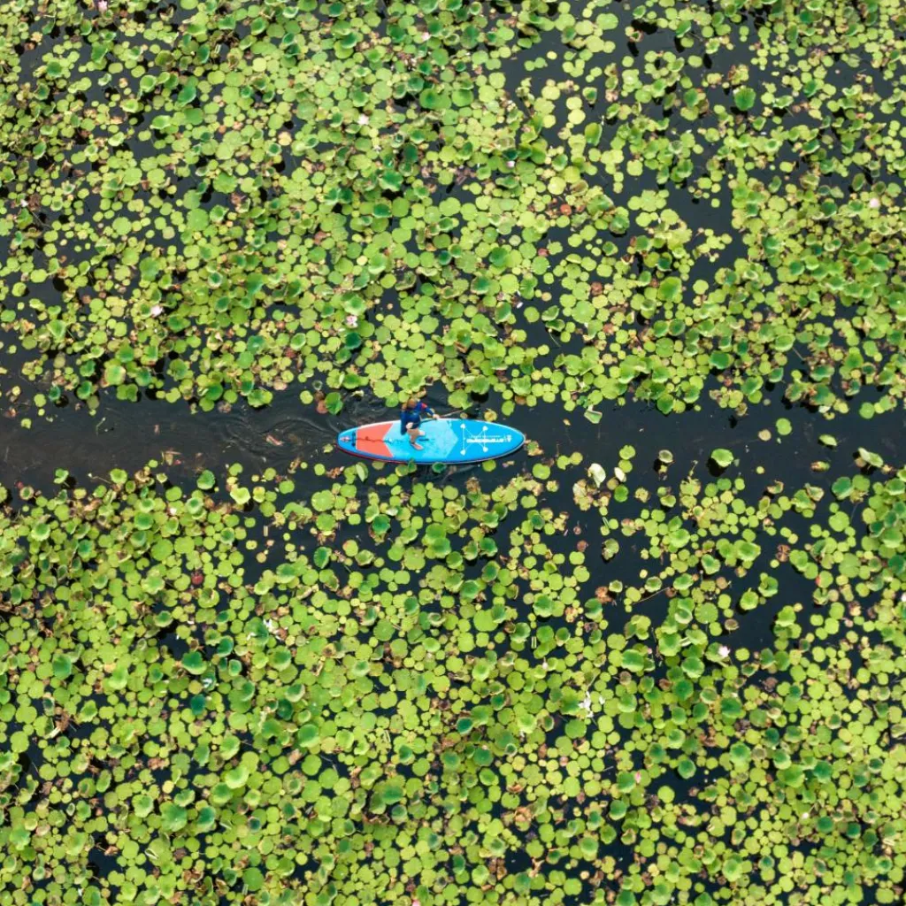 Starboard IGO WITH PADDLE - SUP Board^ Sup Boards